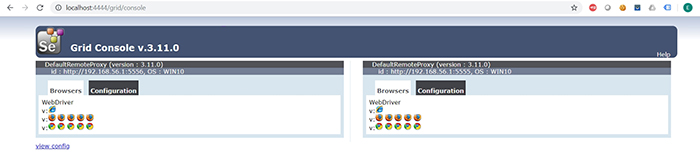 selenium grid console
